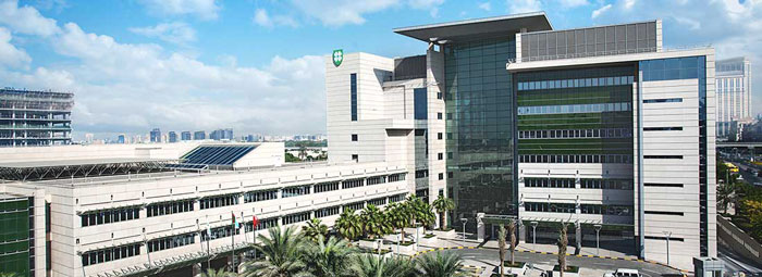 American Hospital in Dubai presents telemedicine service