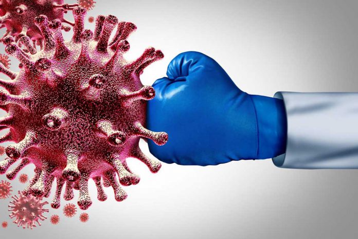 immunity fights against coronavirus infection