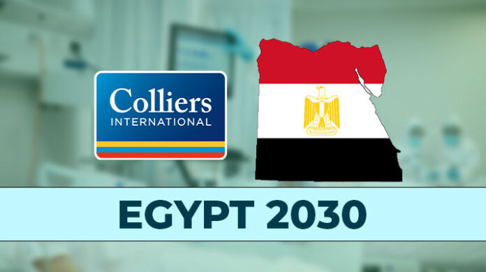Egypt Healthcare Investment Opportunity