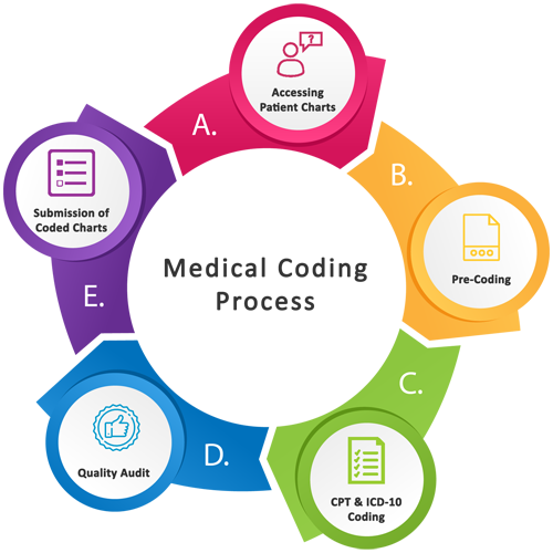 the medical coding process steps