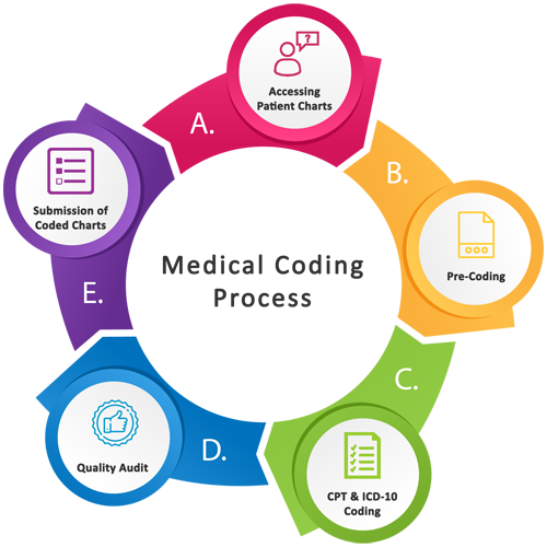 What is Medical Coding? The Ultimate Guide | Healthcare Business Club