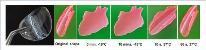 4D bioprinting