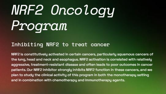 NRF2 oncology