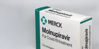 anti covid drug molnupiravir