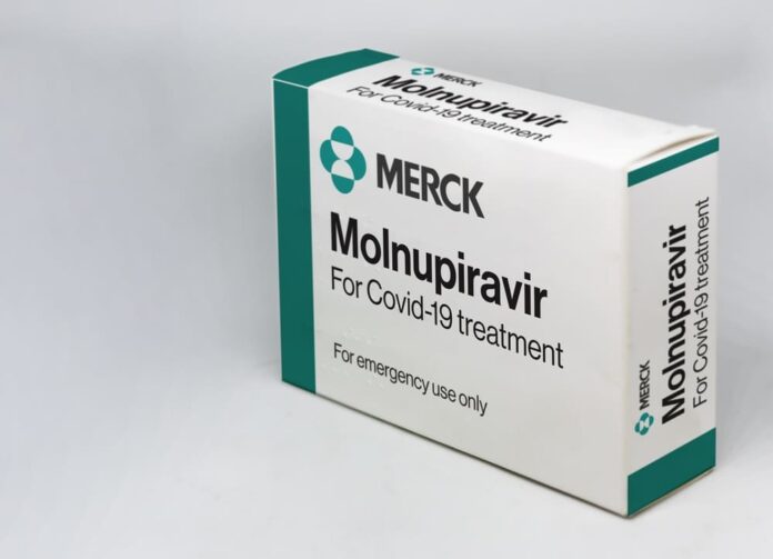 anti covid drug molnupiravir