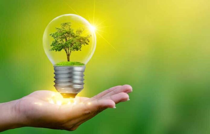 How You Can Become More Eco-Friendly In 2022!