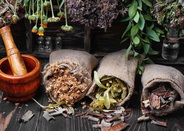 10 Herbs for Good Health and Wellness