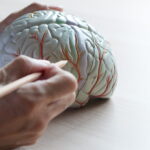 4 Types Of Brain Surgery