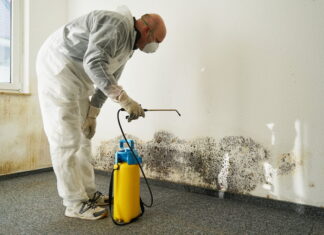 6 Mold Removal And Remediation Tips For Healthcare Facilities