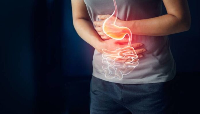 Understanding Digestive Disorders: The Role of Supplements