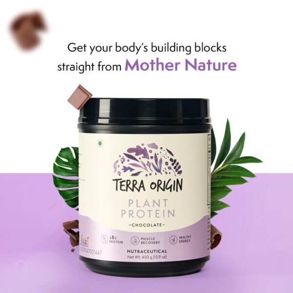 Check Out How Protein Powders Are Helpful in Building Muscles