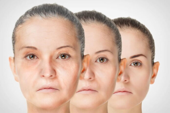 Peptides in Anti-Aging
