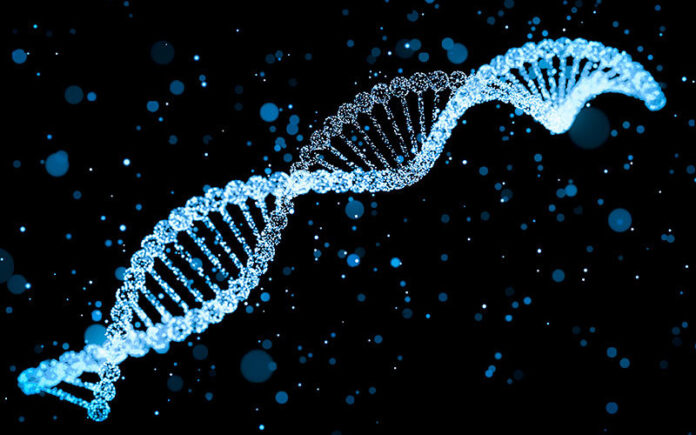 The Ultimate Guide You Need to Know about DNA to Clarify Your Doubts