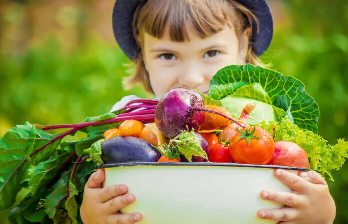 Important Facts to Verify When Purchasing Organic Food Online for Your Little Ones