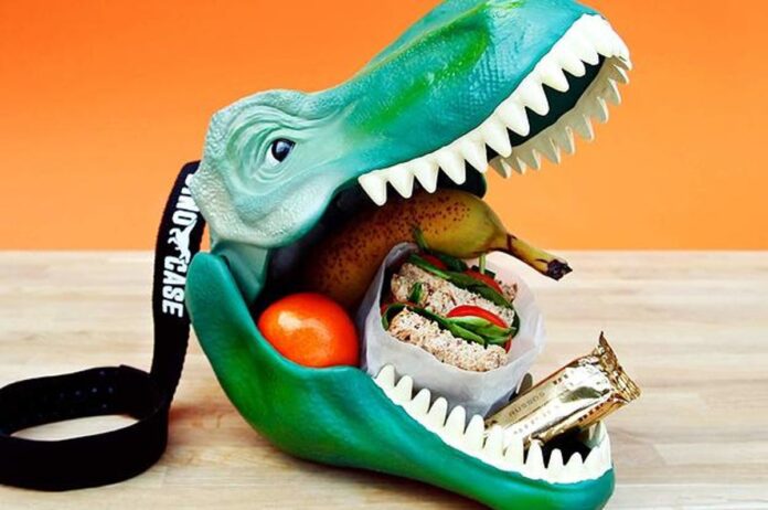 Gifts For Dinosaur Lovers