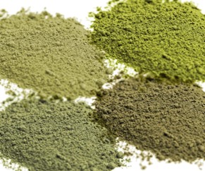 What are the Different Types of Kratom