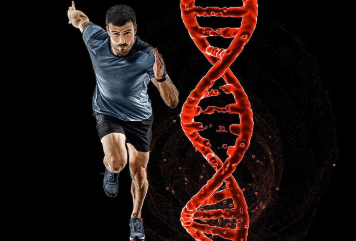 How DNA Testing Is Revolutionizing Exercise Strategies