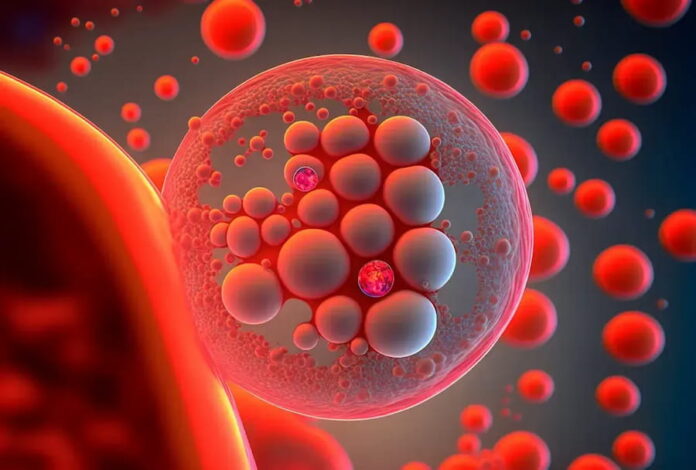 Exploring Stem Cell Therapy in Autoimmune Disorders Exploring Stem Cell Therapy in Autoimmune Disorders