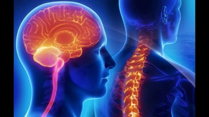 Six Symptoms that Warrant a Visit to a Boise Neurosurgeon