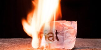 Burn Smart, Not Hard; Shape Burn Clean Protein for Weight Management