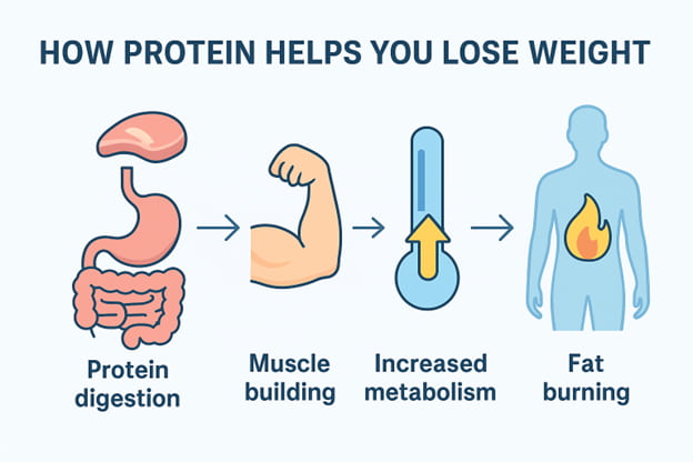 Burn Smart, Not Hard; Shape Burn: Clean Protein for Weight Management 