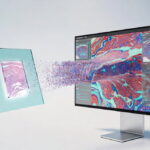 Why Whole Slide Imaging Shapes the Future of Digital Pathology