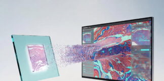 Why Whole Slide Imaging Shapes the Future of Digital Pathology