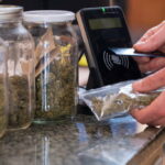 Top 3 Online Dispensaries in Canada, And Why TLV Finest Budz Stands Above the Rest