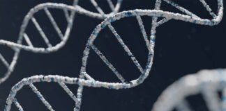 The Wellness Blueprint How Your DNA Holds the Answer