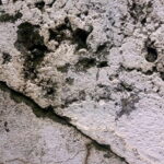 Real Health Risks of Mold Exposure in South Florida Homes