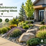 The Best Low-Maintenance Landscaping Ideas for OntarioBC Homeowners