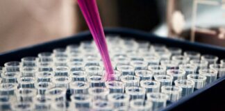 Why Biotech Is Entering Its Most Exciting Decade