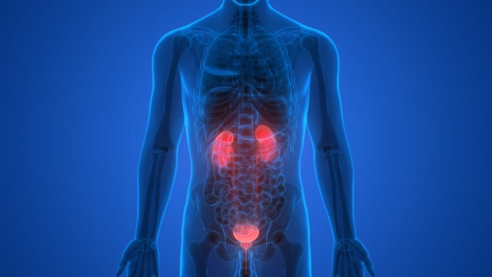 Why Does My Urine Smell Bad? Reasons and Solutions Healthcare